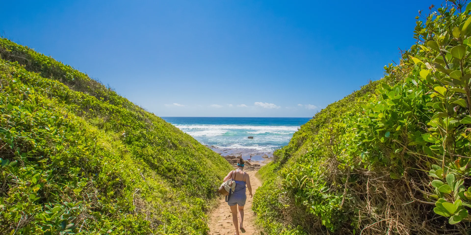Beach & birding