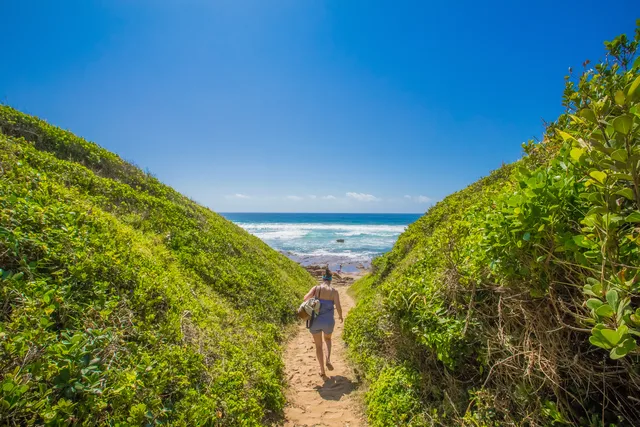 Beach & birding