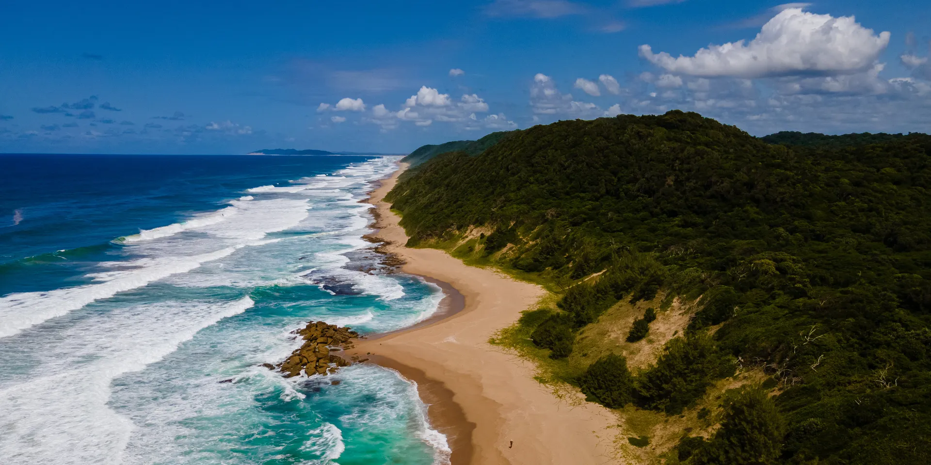 Coastal dune forest