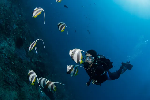 Scuba diving