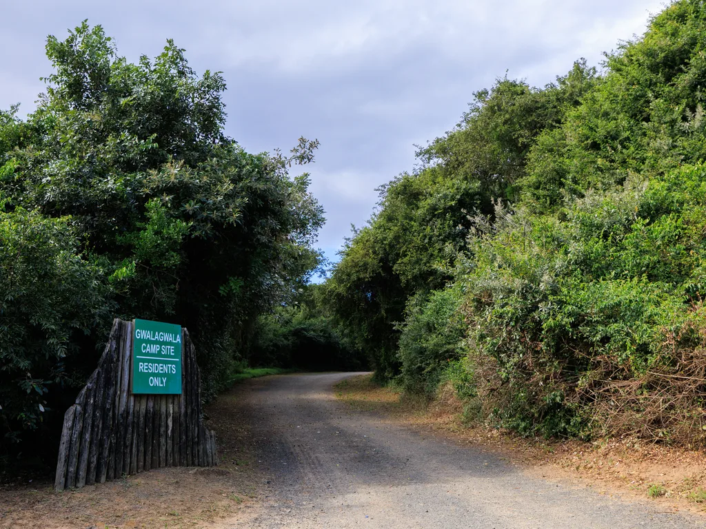 Gwala Gwala Group Camp