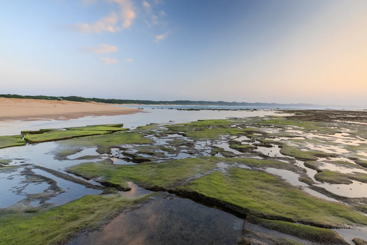 Sodwana coast 5