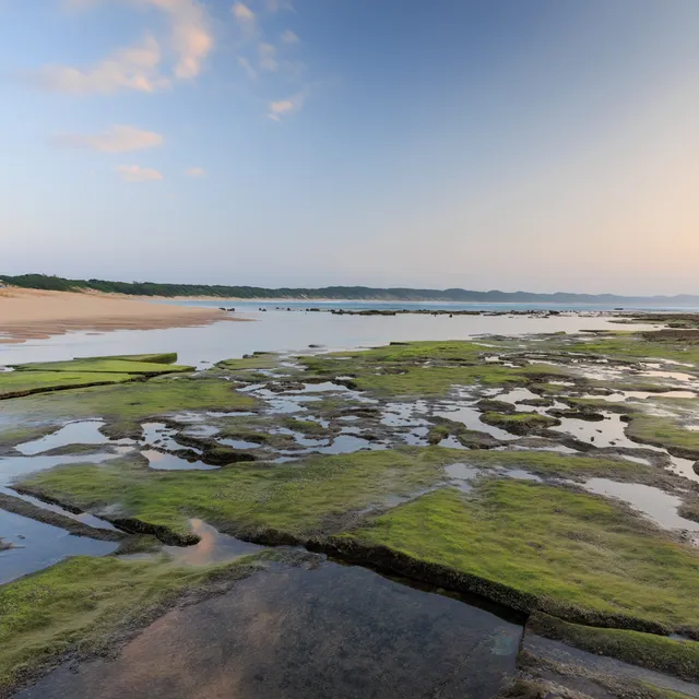 Sodwana coast 5