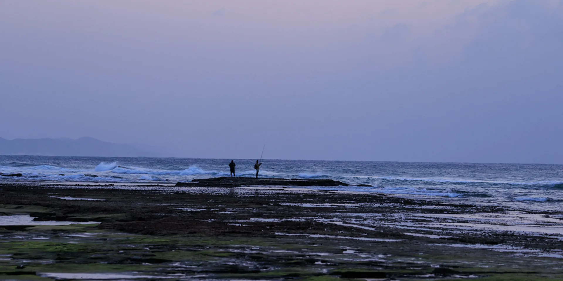 Why it is protected, and how visitors can help