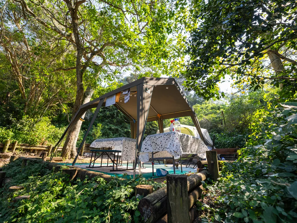 A canvas shade shelter over a camp table and chairs, pitched in a clearing surrounded by dense green coastal bush.