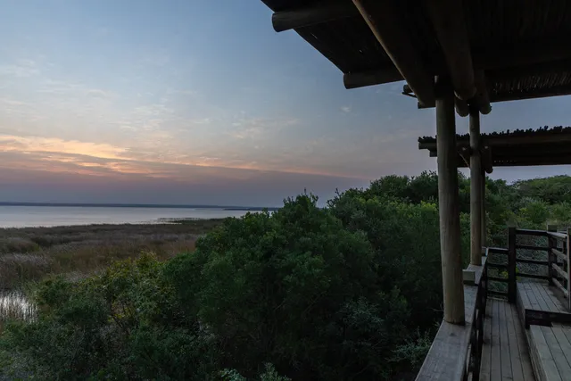 A raised timber viewing deck and walkway looking out over coastal bush towards the lake at dawn.