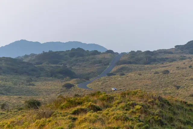 A narrow tar road winding through the rolling coastal grassland and bush of the Eastern Shores, with a single vehicle on the verge and hazy forested hills beyond.