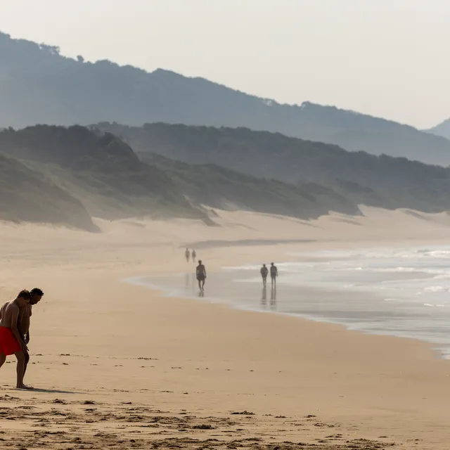 Cape Vidal's beach at first light, with forested dunes receding into the sea mist and a handful of early walkers on the wet sand at the water's edge.