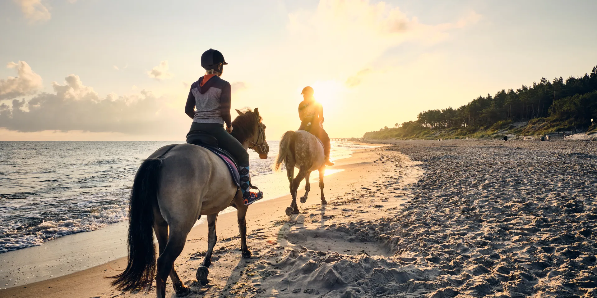 Horse safaris