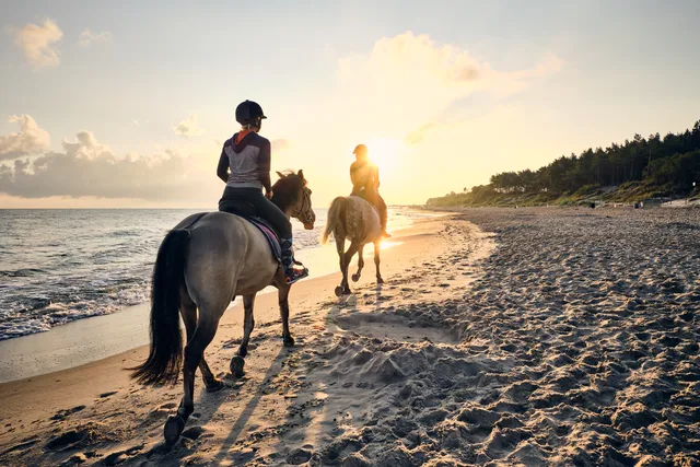 Horse safaris