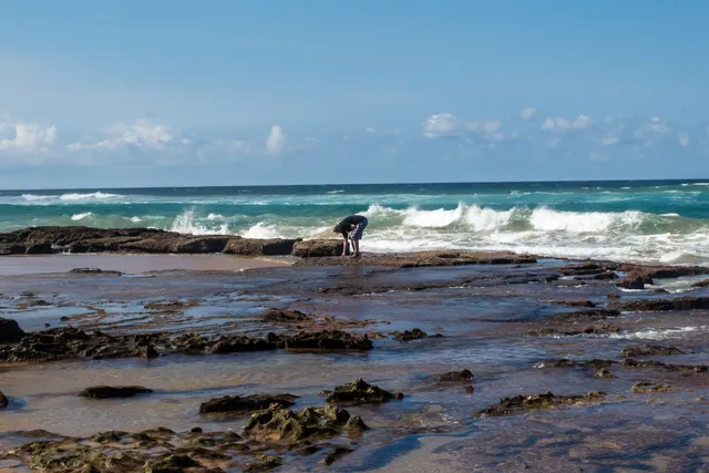 Man looking at sealife in the tidal pools of Mission Rocks Beach in the iSimangaliso Wetland Park of St. Lucia, South Africa.